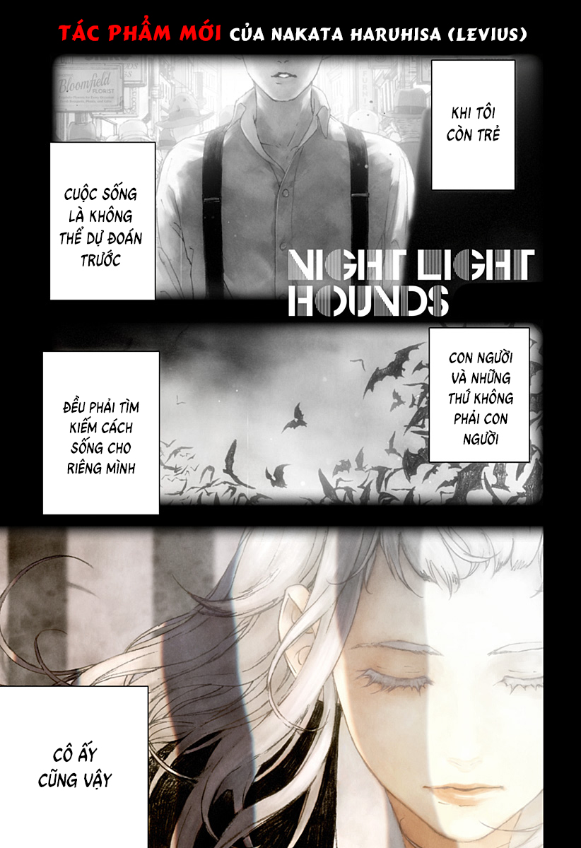 Night Light Hounds Chapter 1 - 3