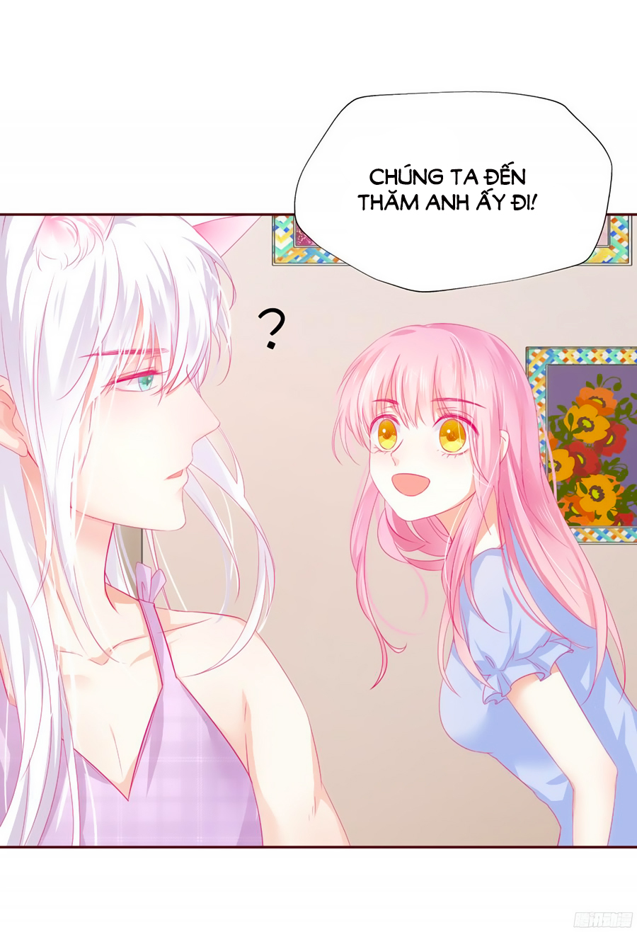 Hello Miêu Tiên Sinh Chapter 4 - 34