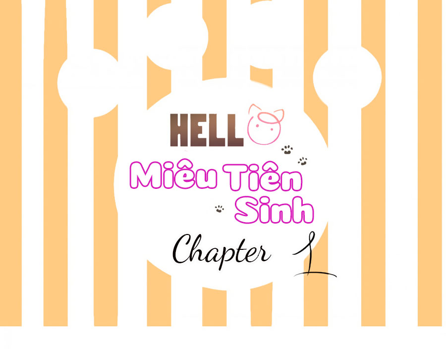 Hello Miêu Tiên Sinh Chapter 1 - 1