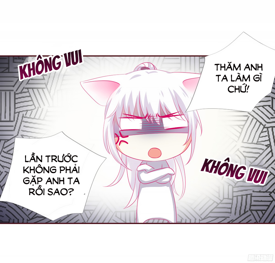 Hello Miêu Tiên Sinh Chapter 4 - 35