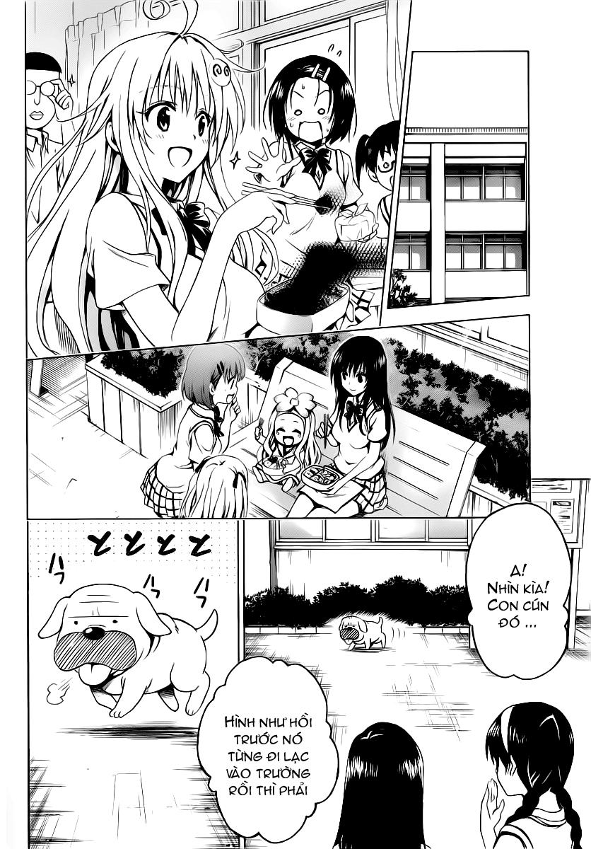 To Love - Ru Darkness Chapter 11 - 9