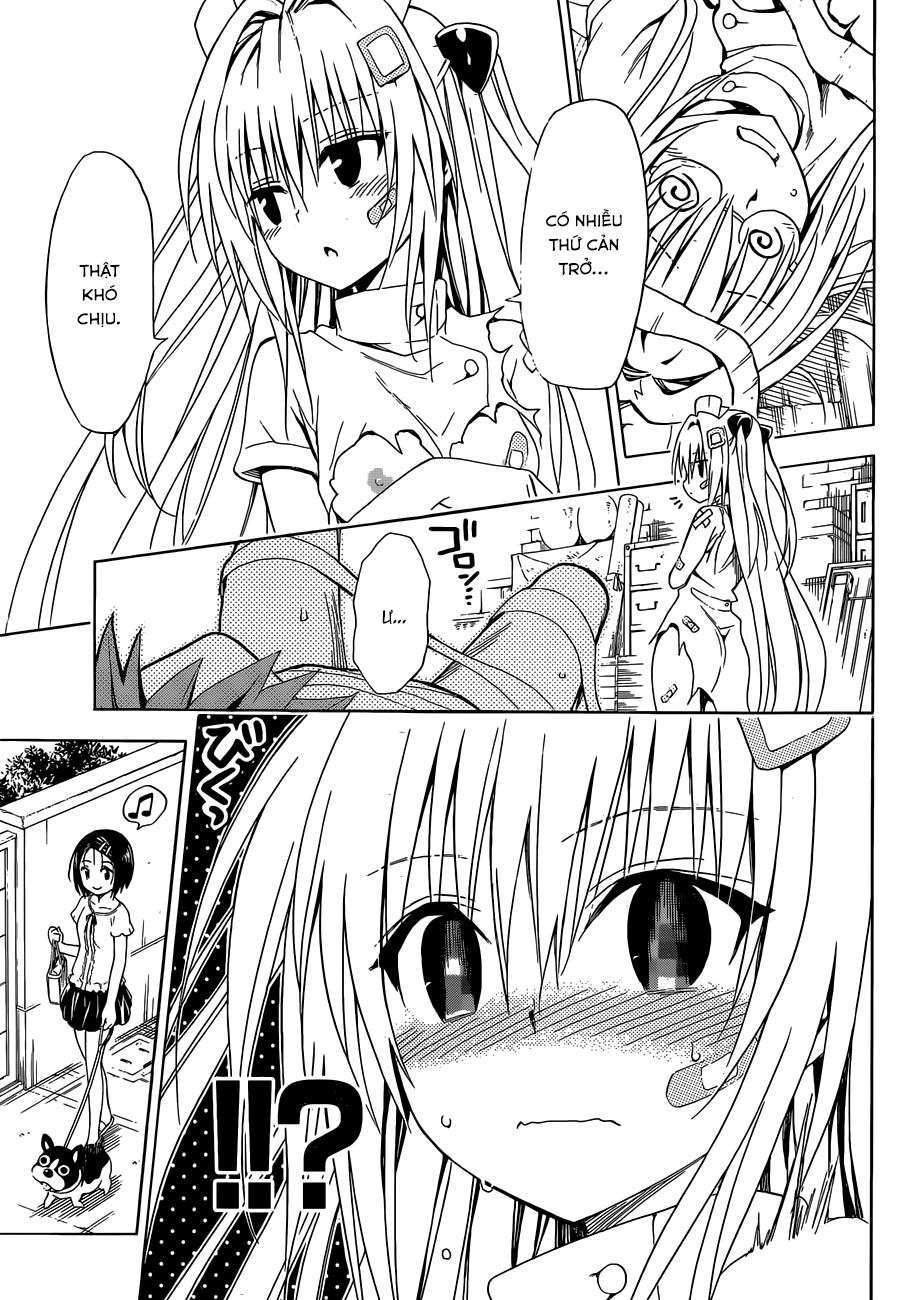 To Love - Ru Darkness Chapter 37.5 - 38