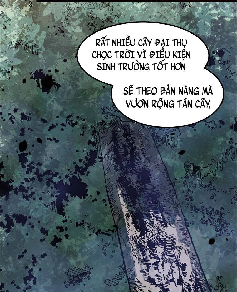 Siêu Phàm Tiến Hóa Chapter 75 - 67