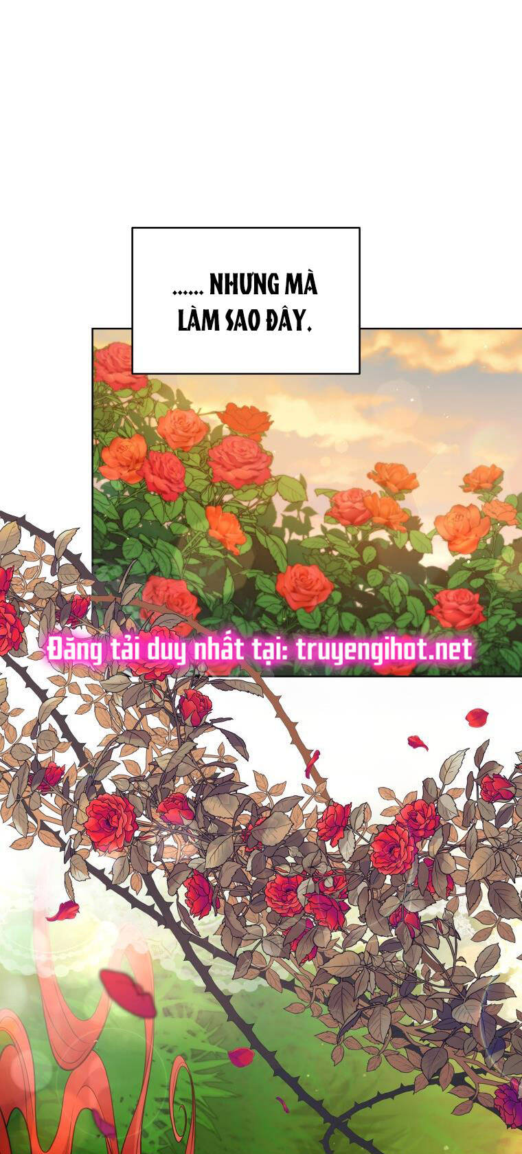 Quý Cô Khó Gần Chapter 66 - 65