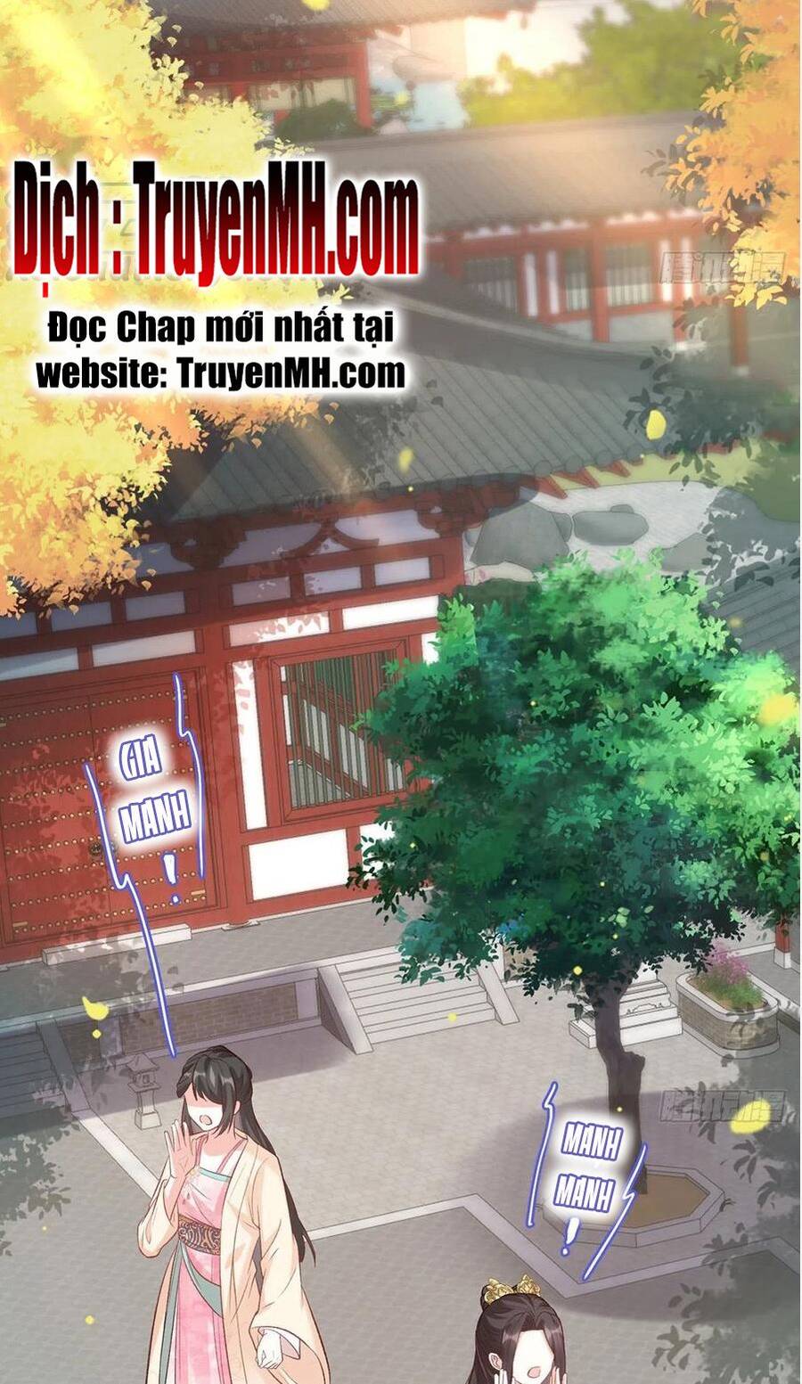 Kiều Mỵ Phu Lang, Tại Tuyến Lục Trà Chapter 65 - 11