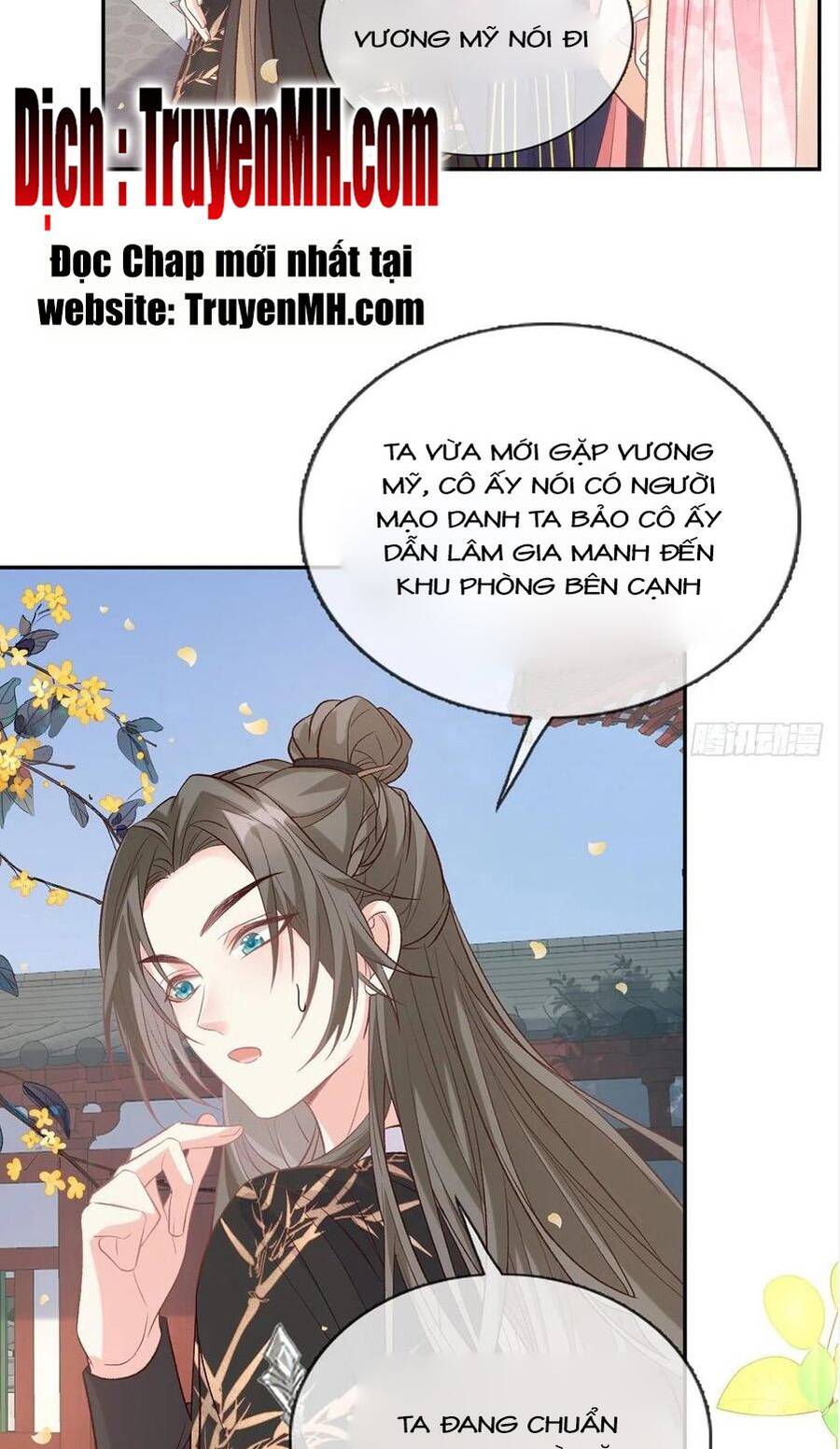 Kiều Mỵ Phu Lang, Tại Tuyến Lục Trà Chapter 65 - 15