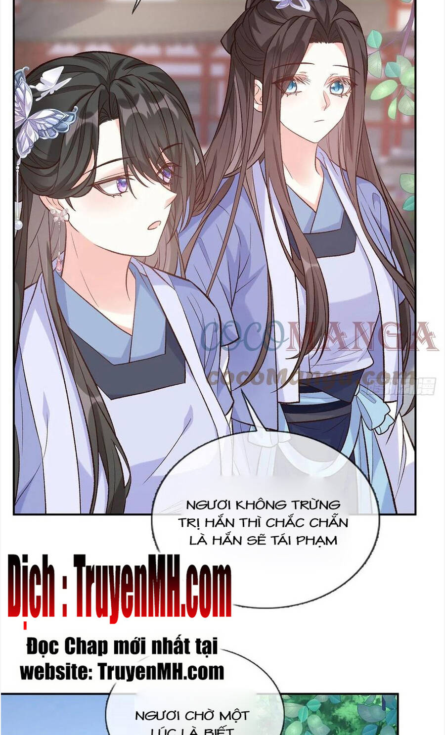 Kiều Mỵ Phu Lang, Tại Tuyến Lục Trà Chapter 81 - 14