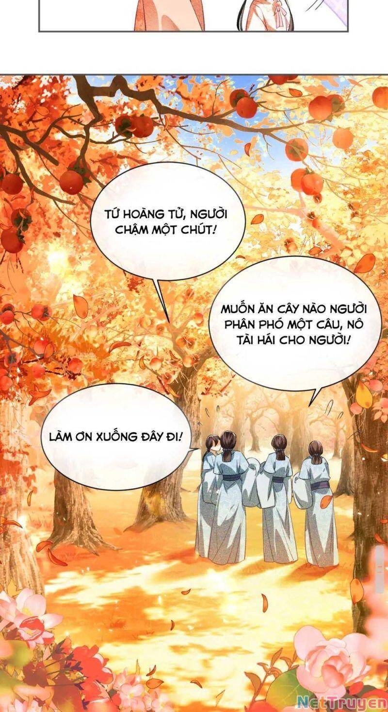 Mãn Cấp Trà Xanh Xuyên Không Thành Tiểu Đáng Thương Chapter 3 - 21