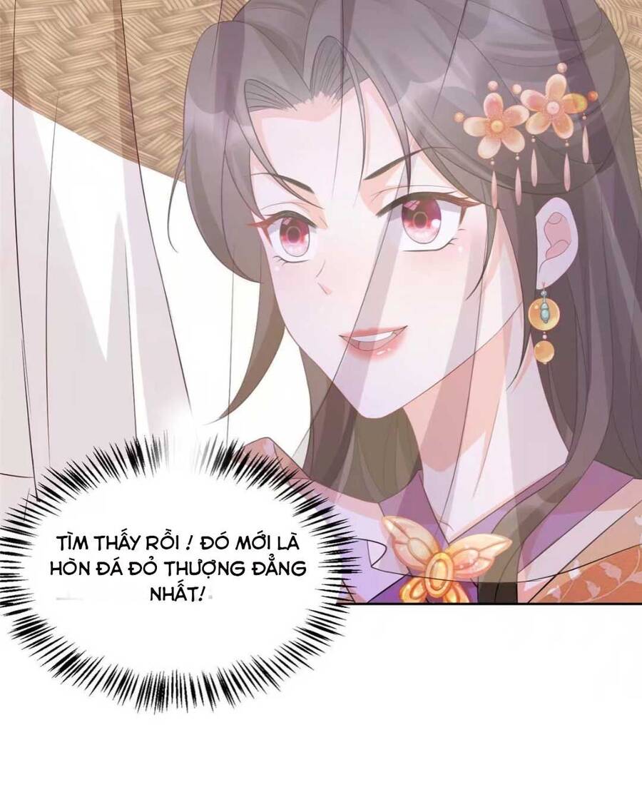 trùng sinh sống lại ! các hoàng tử ai cũng muốn cưới ta ! Chapter 12 - Next Chapter 13