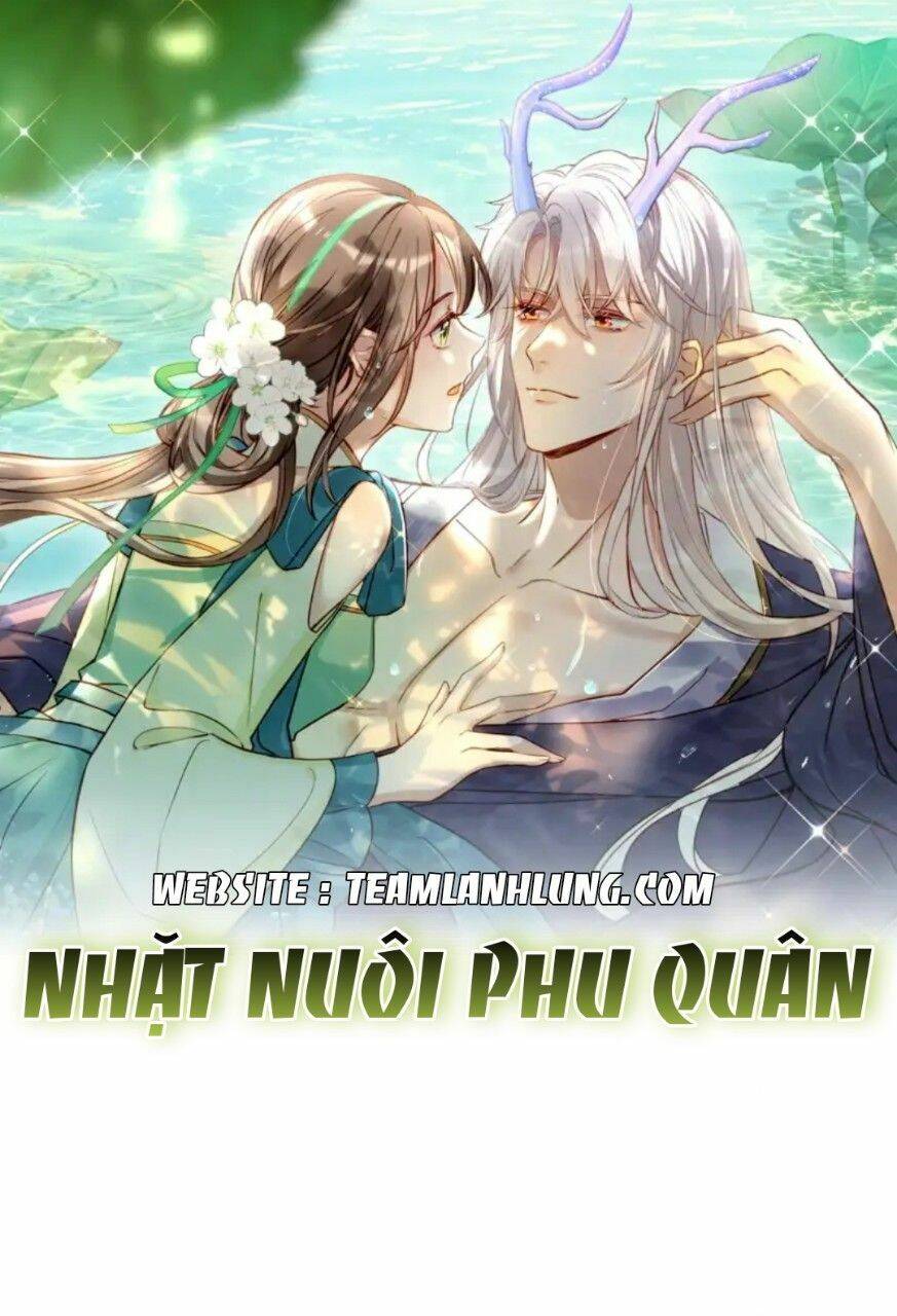 Nhặt Nuôi Phu Quân Chapter 2 - 1