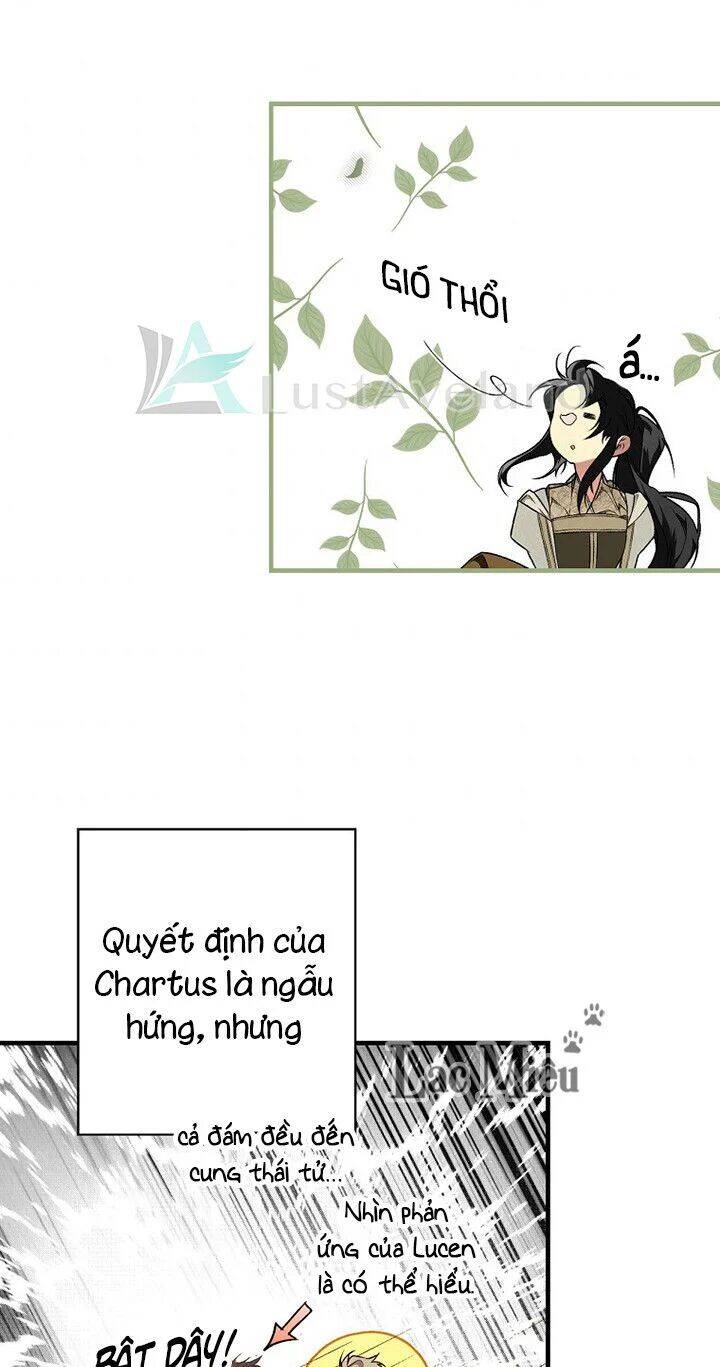 Bí Mật Của Quý Cô Chapter 29 - 5