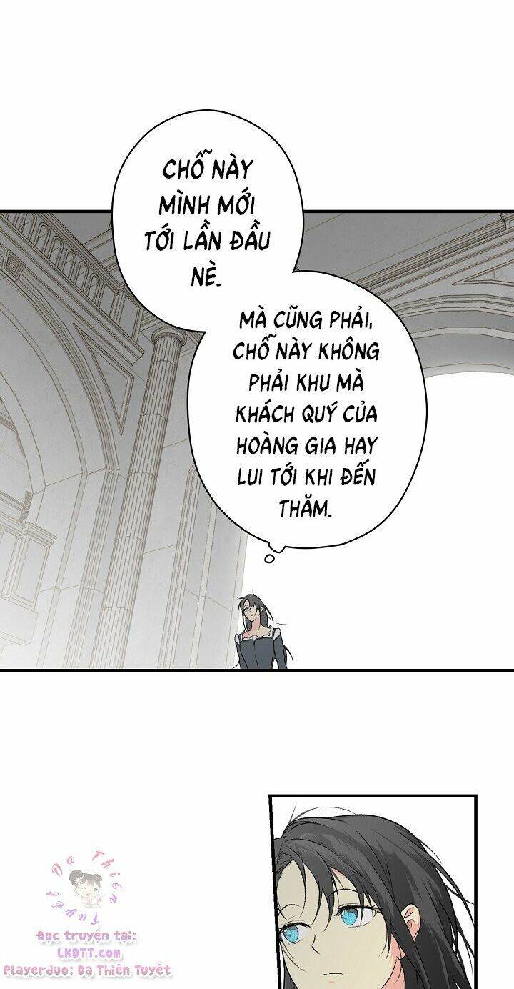 Bí Mật Của Quý Cô Chapter 9 - 55