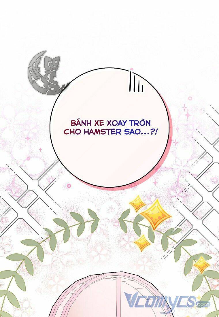 Sóc Nhỏ Tài Năng Chapter 11 - 16