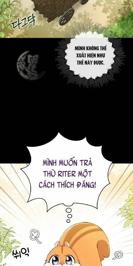 Sóc Nhỏ Tài Năng Chapter 3 - 14