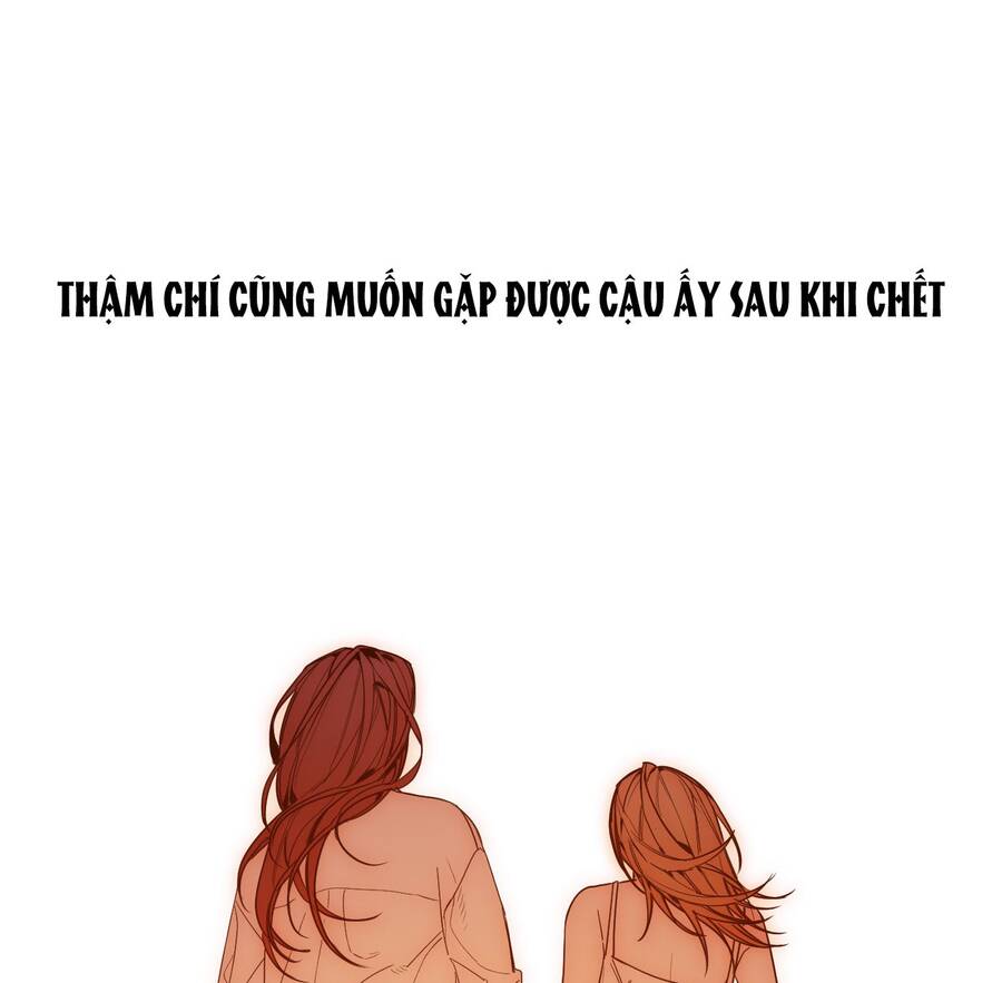 Ác Ma May Mắn Chapter 24 - 55