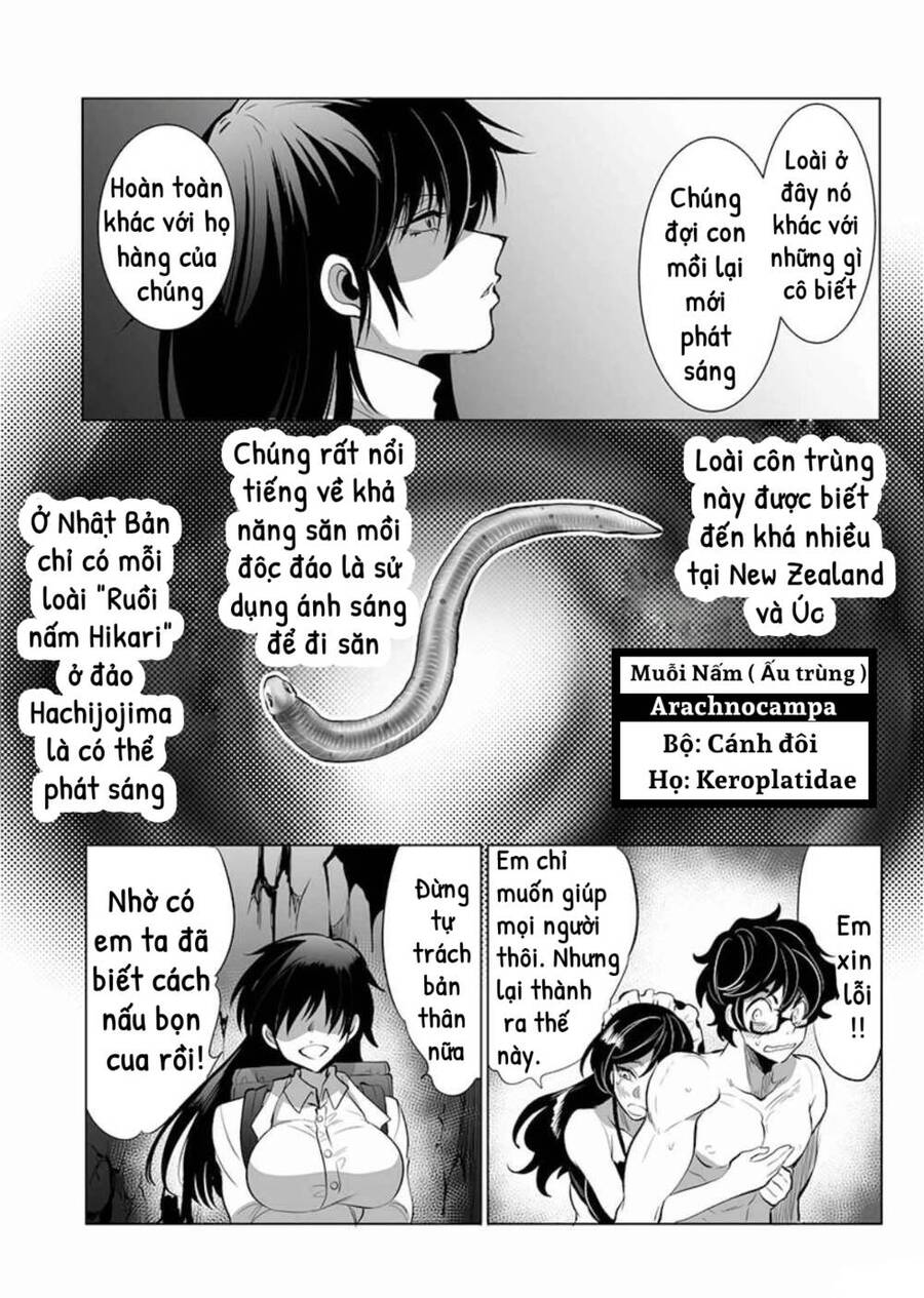 Dãy Núi Côn Trùng Chapter 6 - 22