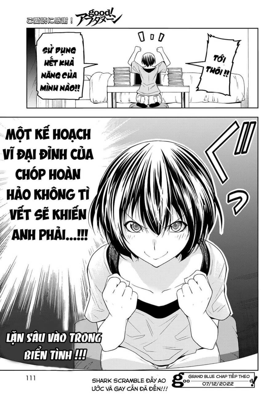 Grand Blue - Cô Gái Thích Lặn Chapter 80 - 50