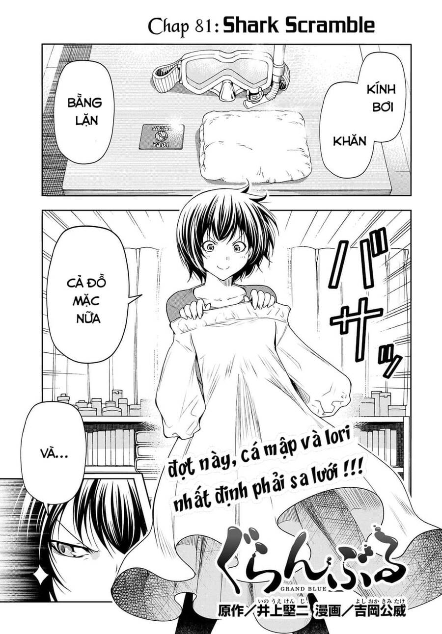 Grand Blue - Cô Gái Thích Lặn Chapter 81 - 1