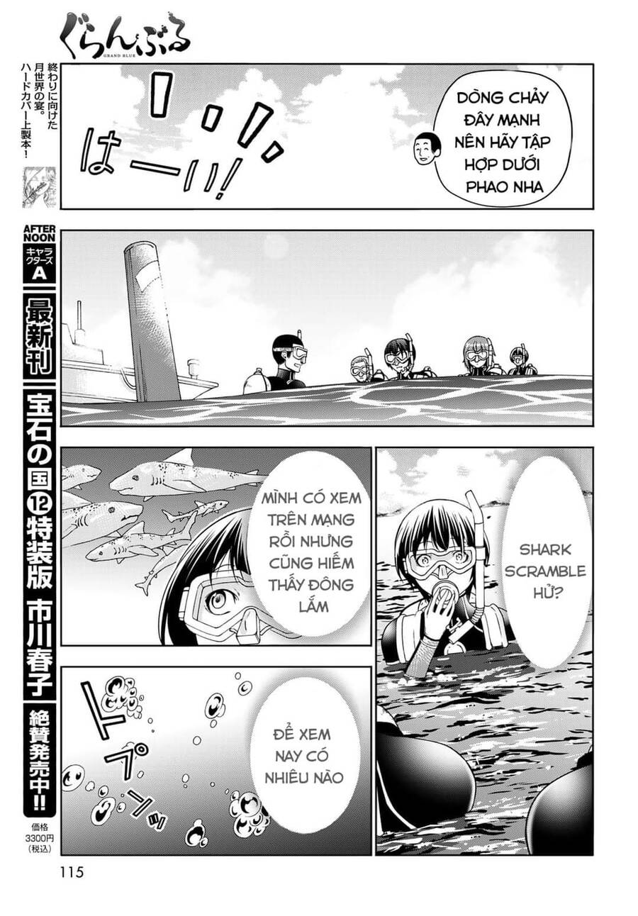 Grand Blue - Cô Gái Thích Lặn Chapter 81 - 24