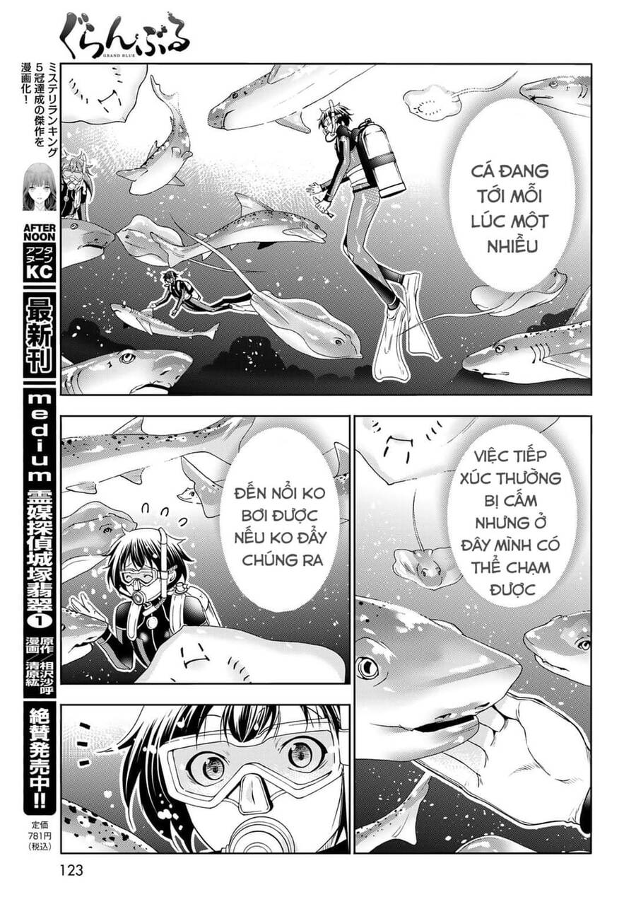 Grand Blue - Cô Gái Thích Lặn Chapter 81 - 31