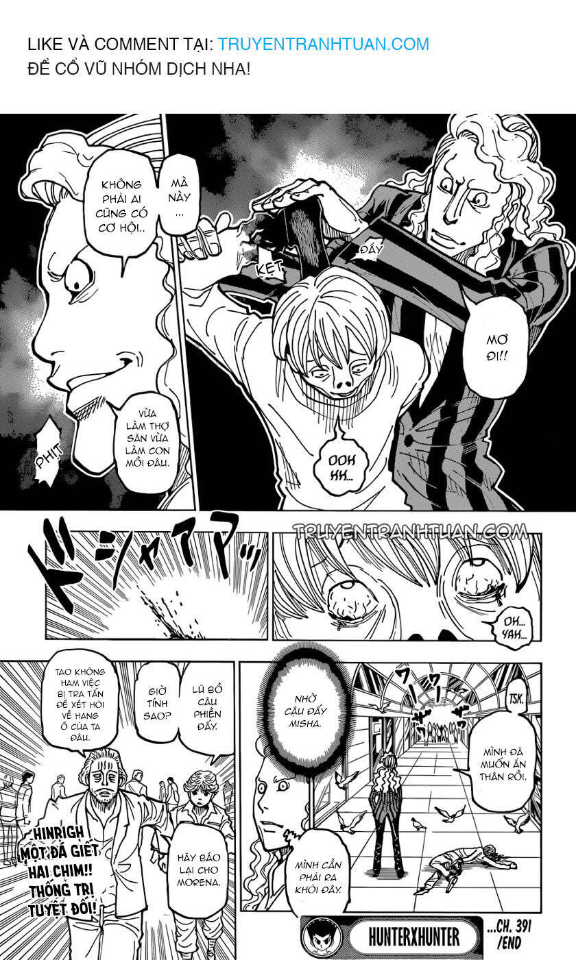 Hunter X Hunter Chapter 391 - 20