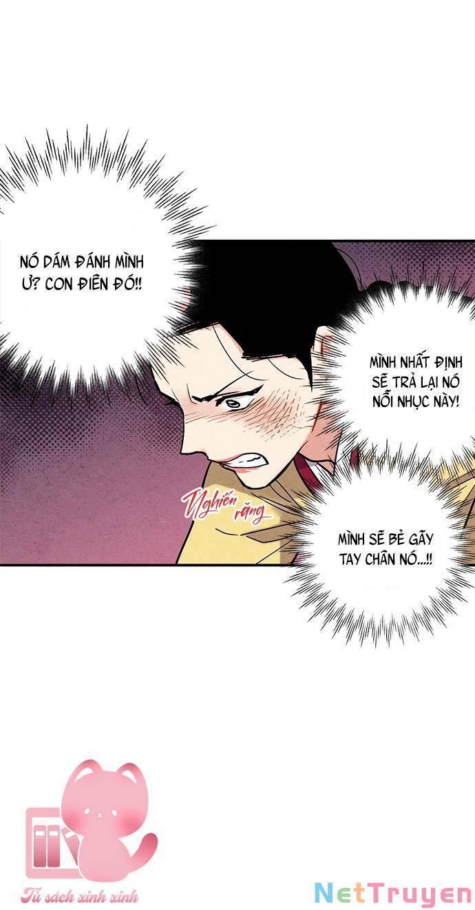 Cấm Hôn Chapter 81 - 19