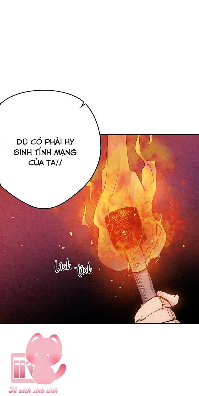 Cấm Hôn Chapter 95 - 12