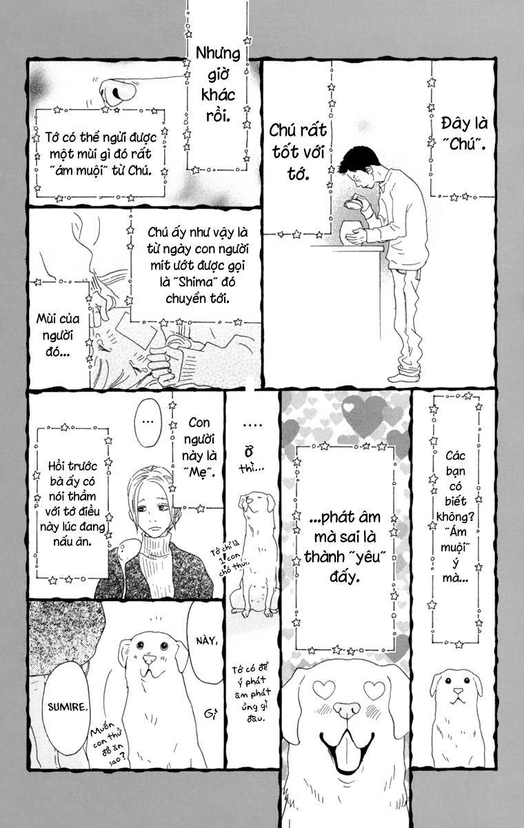 Principal Chapter 8 - 39