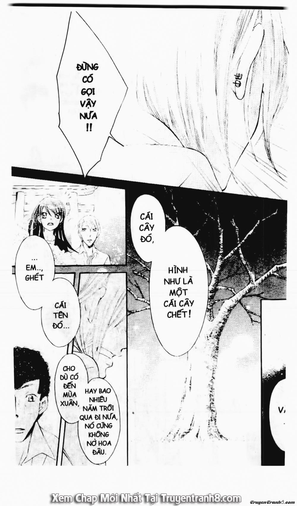 Tiểu Thư Sachie Chapter 48 - 5