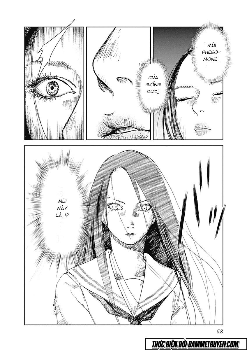 Mushihime - Nữ Chúa Côn Trùng Chapter 2 - 14