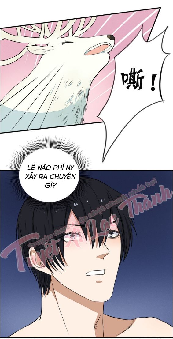 Nụ Hôn Hắc Vũ Chapter 28 - 33