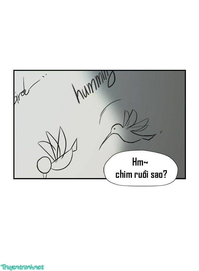 Thể Thao Cực Hạn Chapter 30 - 28