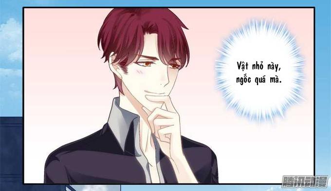 Dụ Hoặc Miêu Yêu Chapter 1 - 50