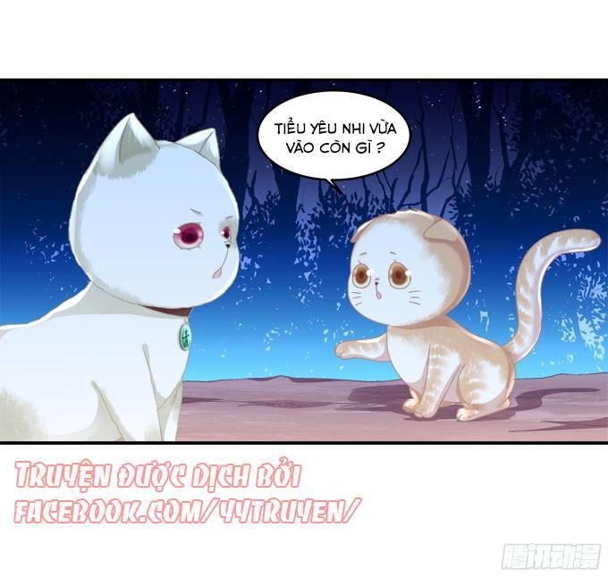 Dụ Hoặc Miêu Yêu Chapter 122 - 16