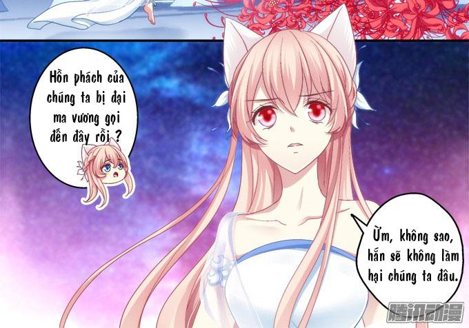 Dụ Hoặc Miêu Yêu Chapter 3 - 13