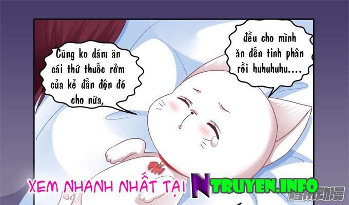 Dụ Hoặc Miêu Yêu Chapter 4 - 28