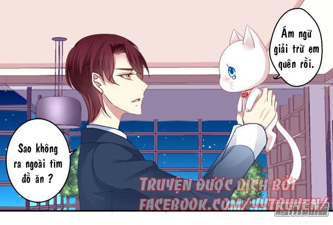 Dụ Hoặc Miêu Yêu Chapter 6 - 13