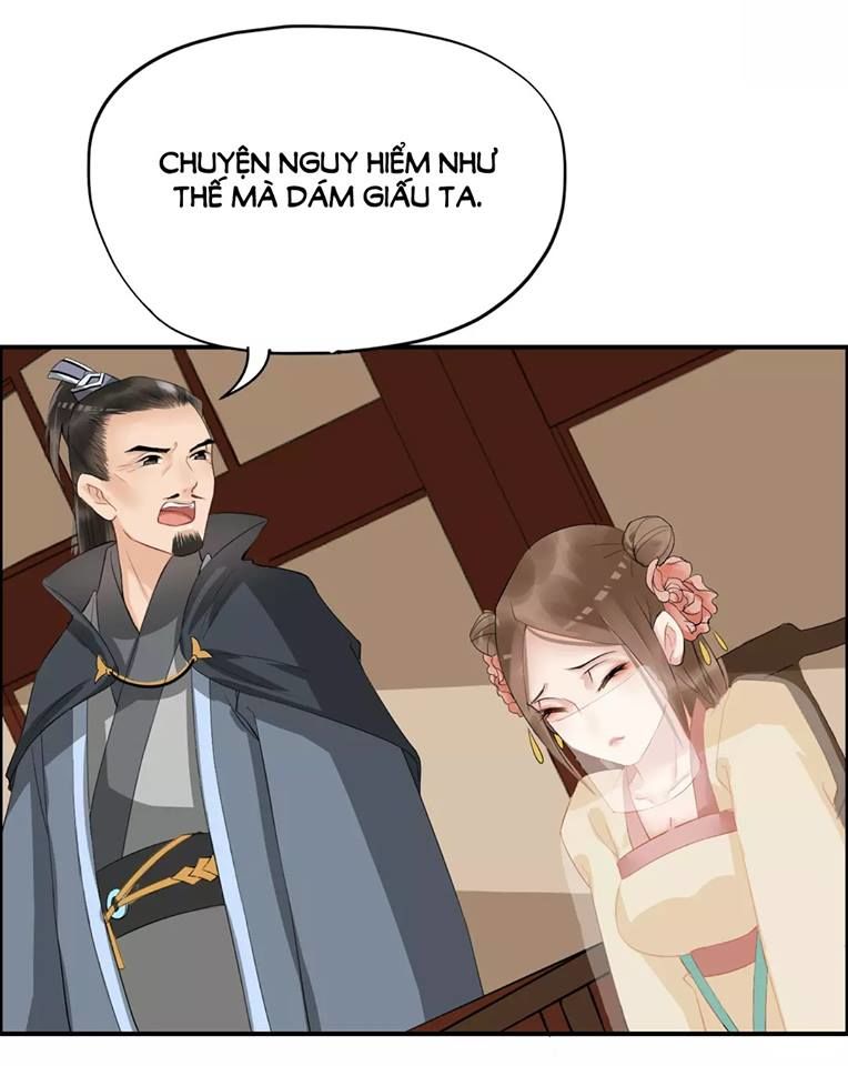 Bồng Sơn Viễn Chapter 10 - 22