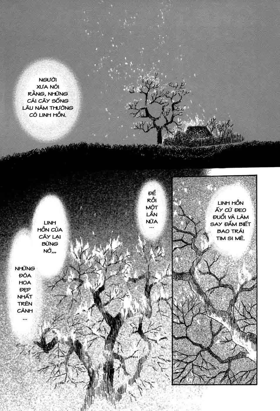 Mushishi Chapter 31 - 47