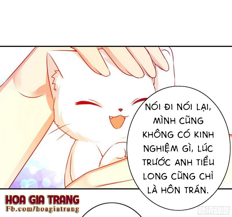 Phục Thù Thiếu Gia Tiểu Điềm Thê Chapter 19 - 23