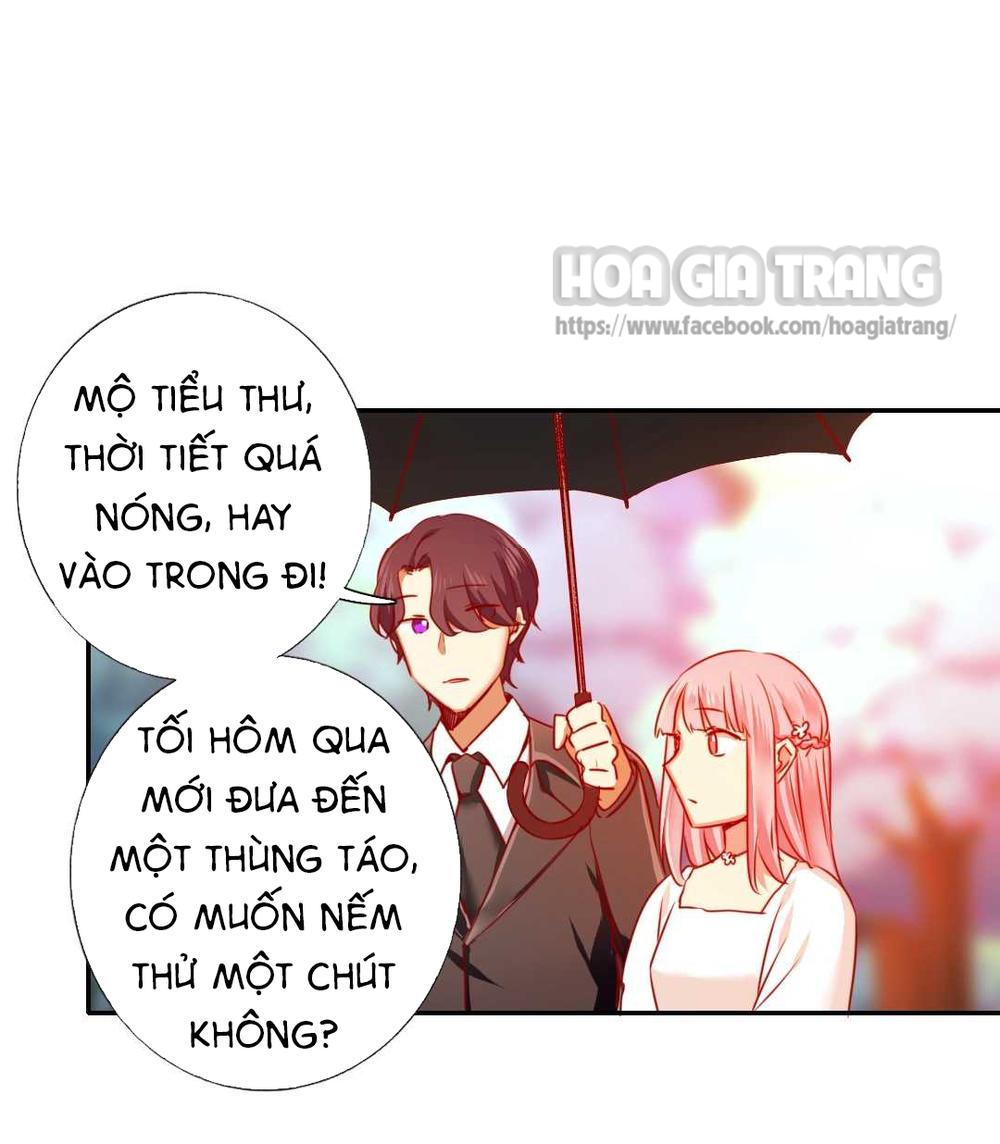 Phục Thù Thiếu Gia Tiểu Điềm Thê Chapter 8 - 11