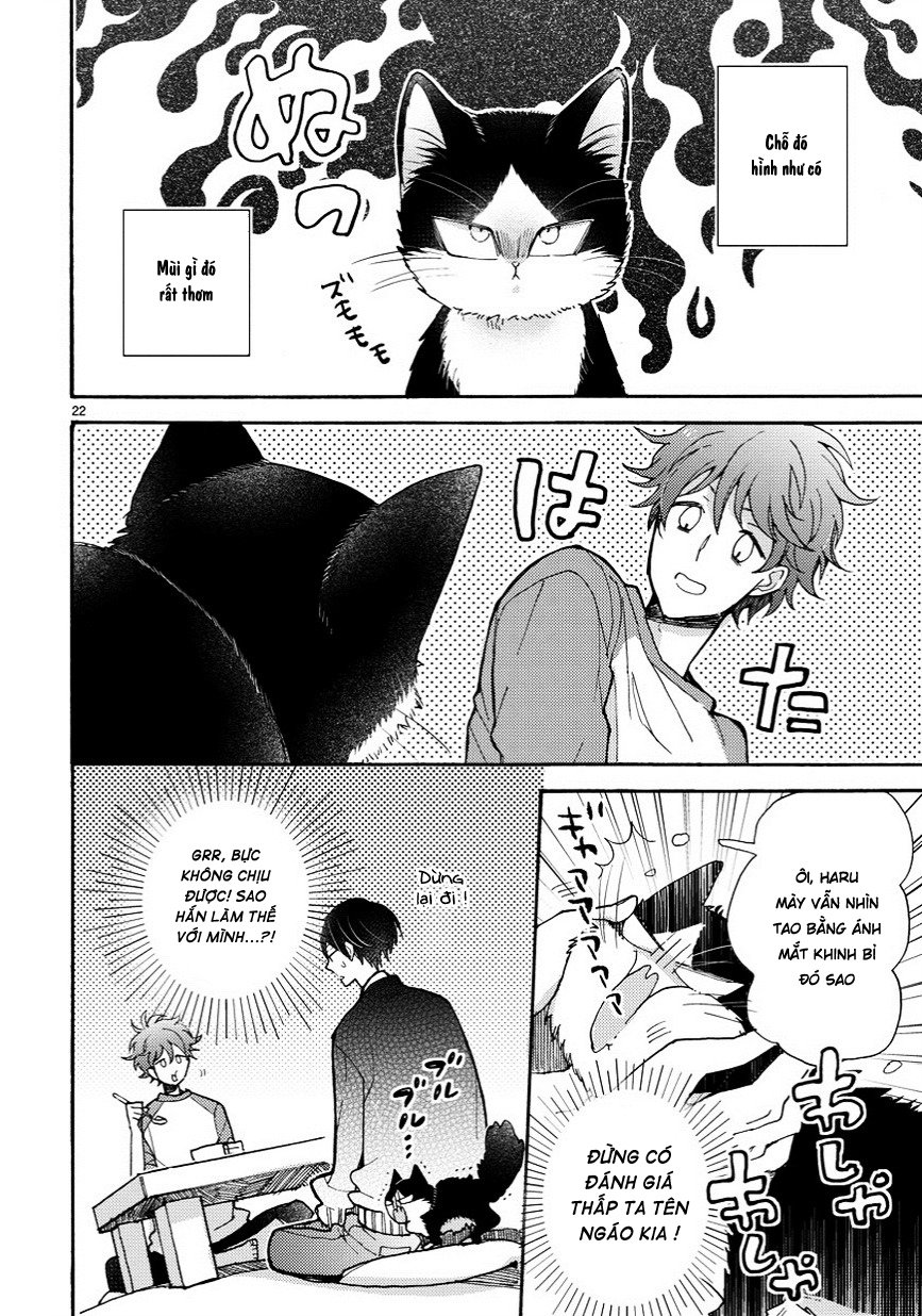 Doukyonin Wa Hiza, Tokidoki, Atama No Ue Chapter 6.5 - 7