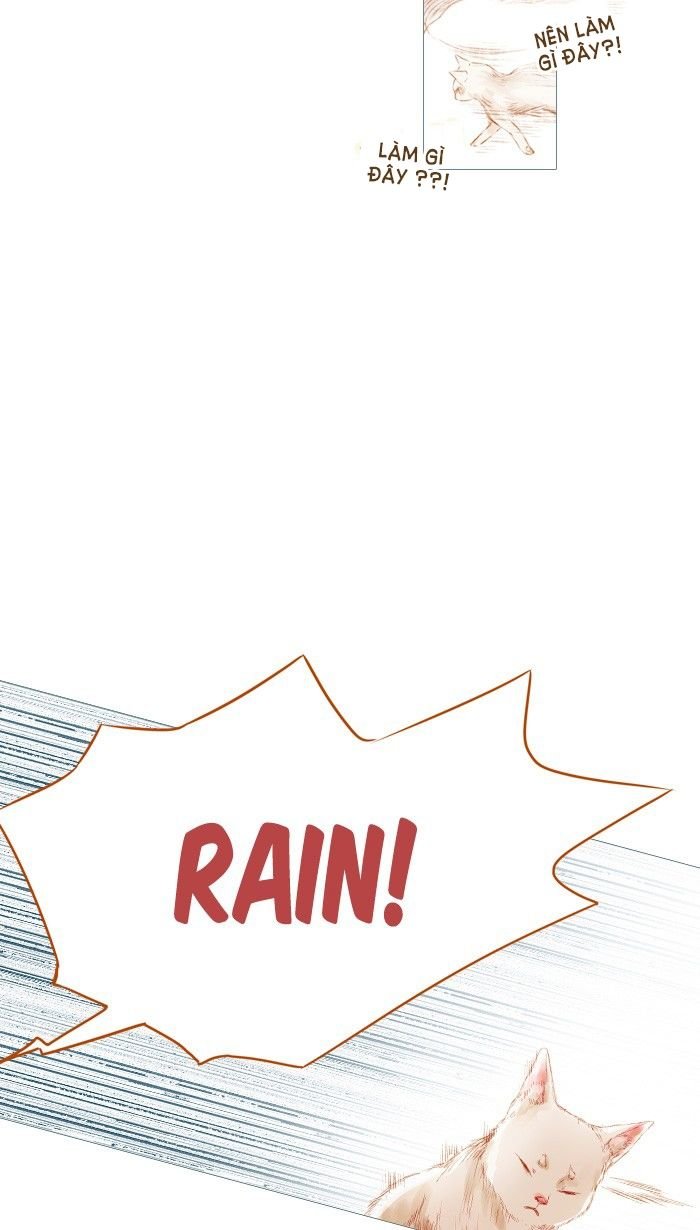 Little Rain Chapter 19 - 40