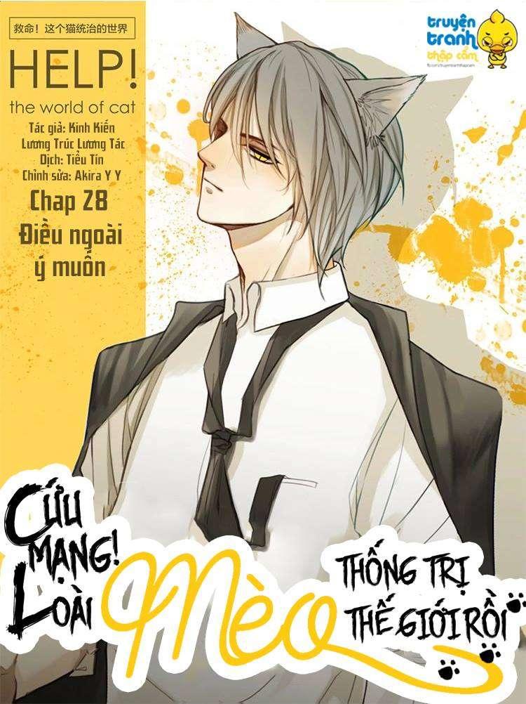 Cứu Mạng! Loài Mèo Thống Trị Thế Giới Rồi! Chapter 28 - 1