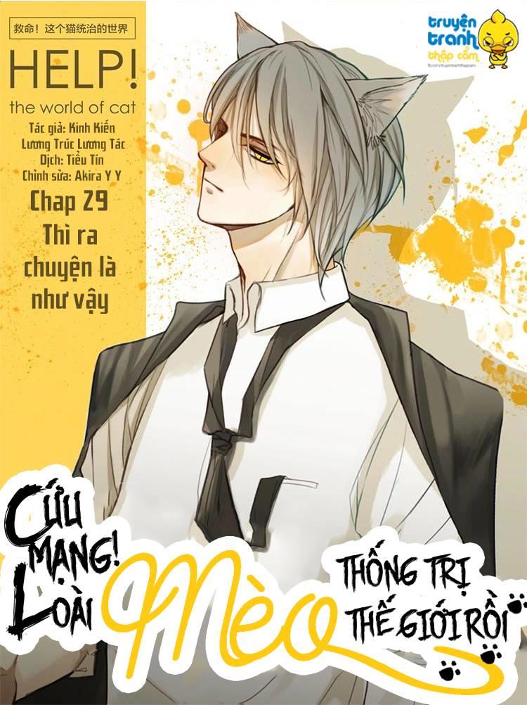 Cứu Mạng! Loài Mèo Thống Trị Thế Giới Rồi! Chapter 29 - 1