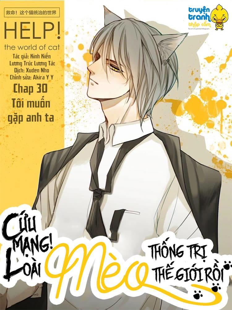 Cứu Mạng! Loài Mèo Thống Trị Thế Giới Rồi! Chapter 30 - 1