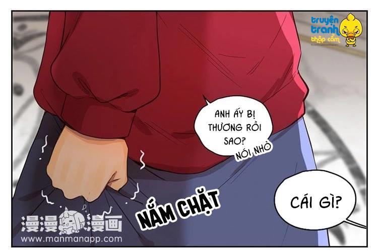 Cứu Mạng! Loài Mèo Thống Trị Thế Giới Rồi! Chapter 30 - 5