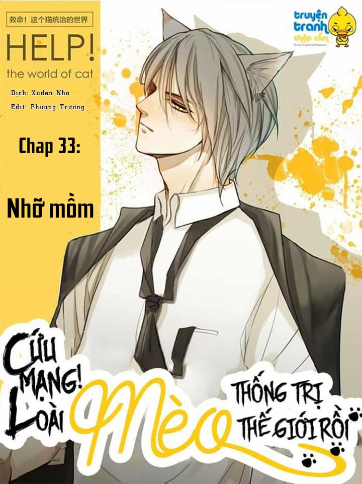 Cứu Mạng! Loài Mèo Thống Trị Thế Giới Rồi! Chapter 33 - 1