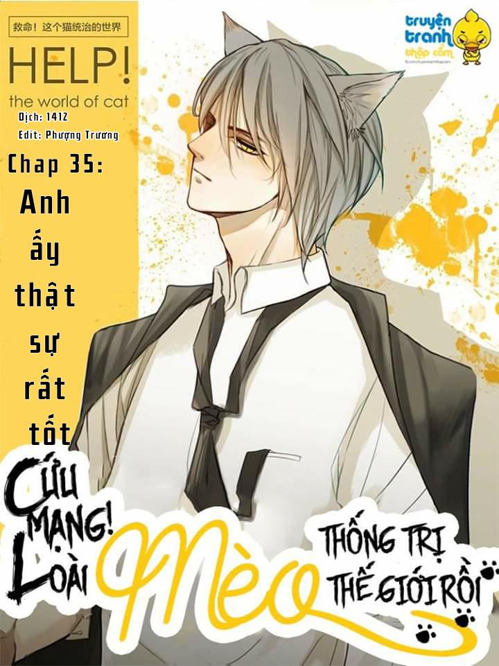 Cứu Mạng! Loài Mèo Thống Trị Thế Giới Rồi! Chapter 35 - 1