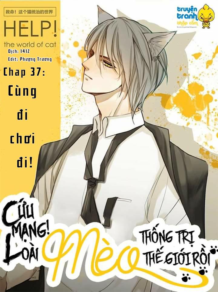 Cứu Mạng! Loài Mèo Thống Trị Thế Giới Rồi! Chapter 37 - 1